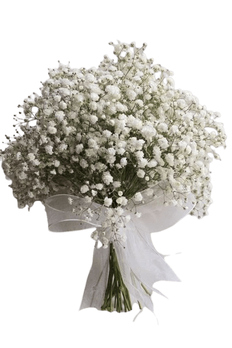 Baby’s Breath Bliss Bouquet